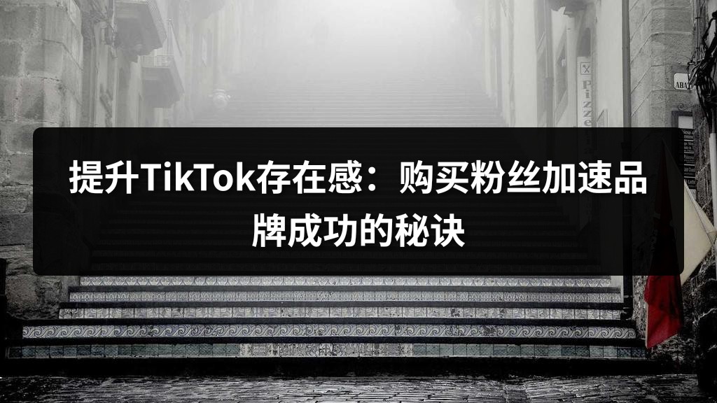 提升TikTok存在感：购买粉丝加速品牌成功的秘诀
