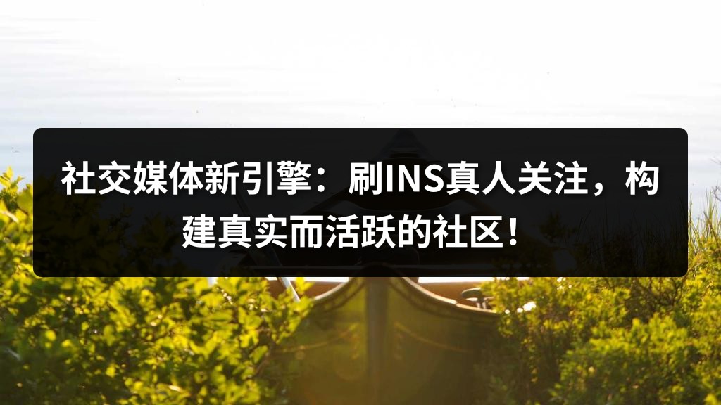 社交媒体新引擎：刷INS真人关注，构建真实而活跃的社区！