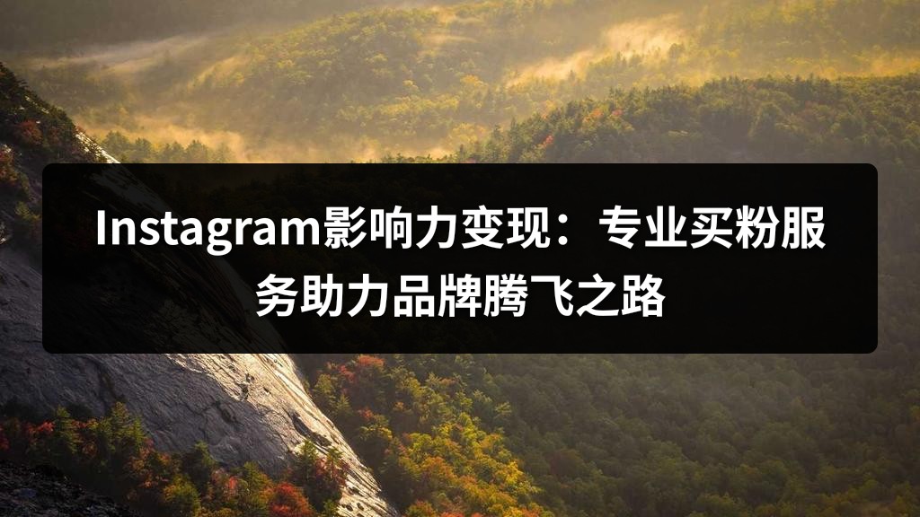 Instagram影响力变现：专业买粉服务助力品牌腾飞之路