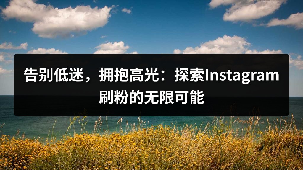 告别低迷，拥抱高光：探索Instagram刷粉的无限可能