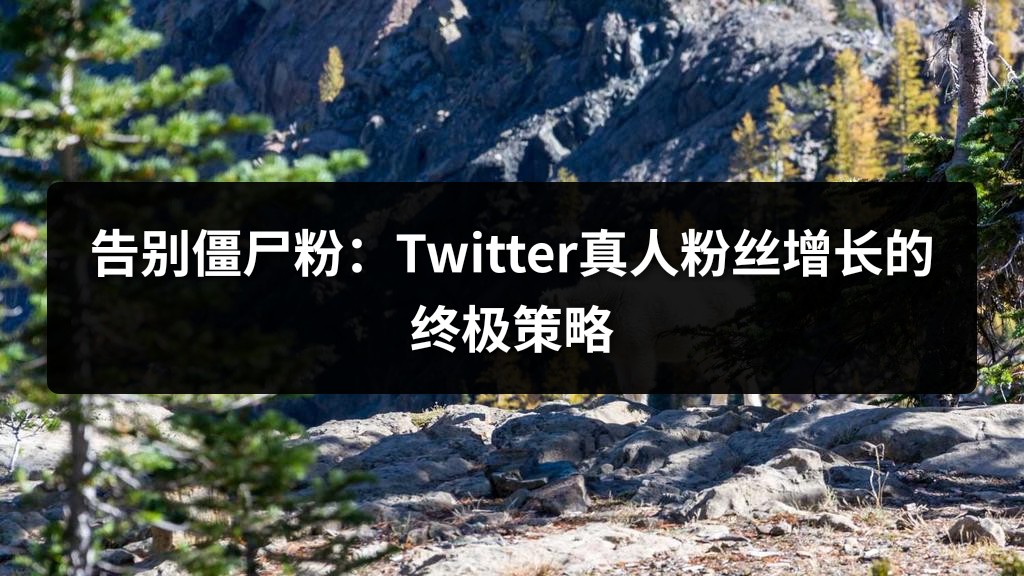告别僵尸粉：Twitter真人粉丝增长的终极策略