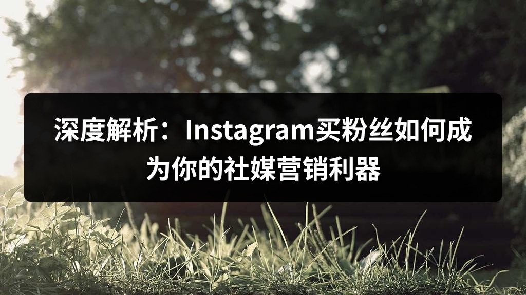 深度解析：Instagram买粉丝如何成为你的社媒营销利器