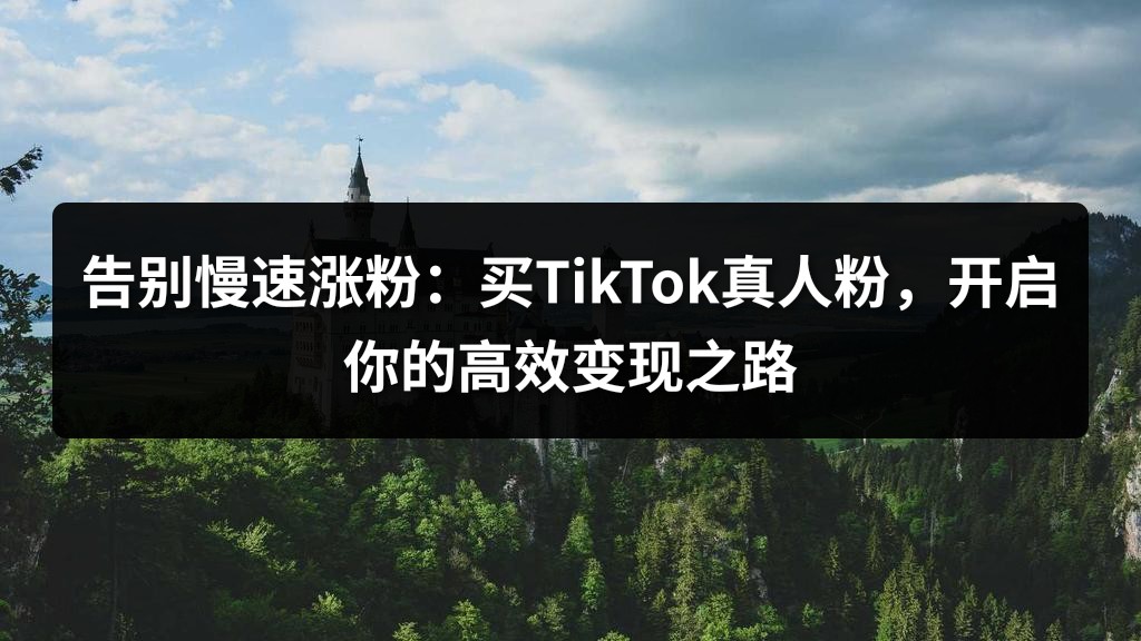 告别慢速涨粉：买TikTok真人粉，开启你的高效变现之路