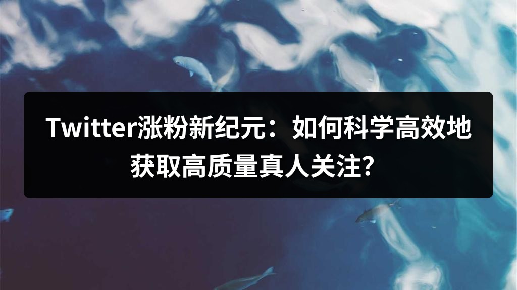 Twitter涨粉新纪元：如何科学高效地获取高质量真人关注？