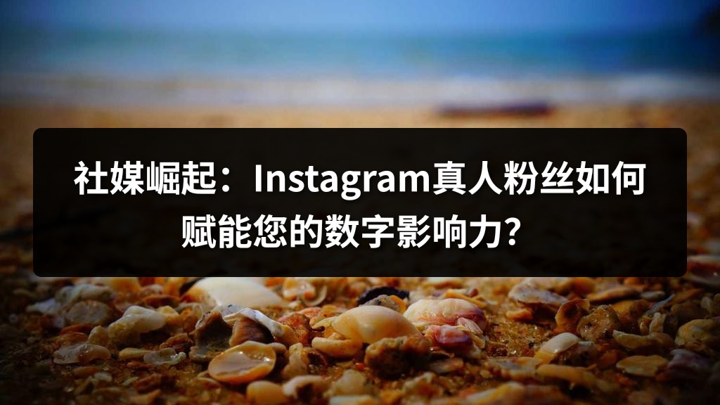 社媒崛起：Instagram真人粉丝如何赋能您的数字影响力？