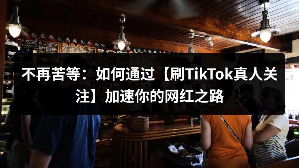 不再苦等：如何通过【刷TikTok真人关注】加速你的网红之路