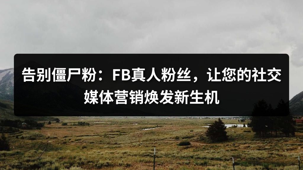 告别僵尸粉：FB真人粉丝，让您的社交媒体营销焕发新生机