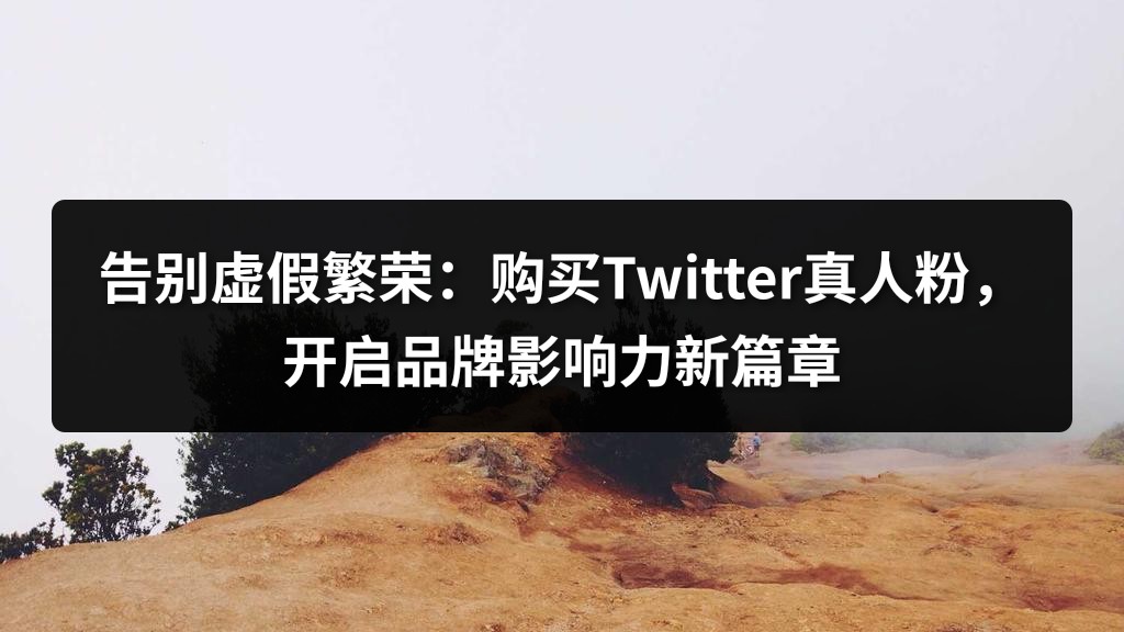告别虚假繁荣：购买Twitter真人粉，开启品牌影响力新篇章