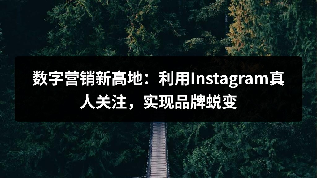 数字营销新高地：利用Instagram真人关注，实现品牌蜕变