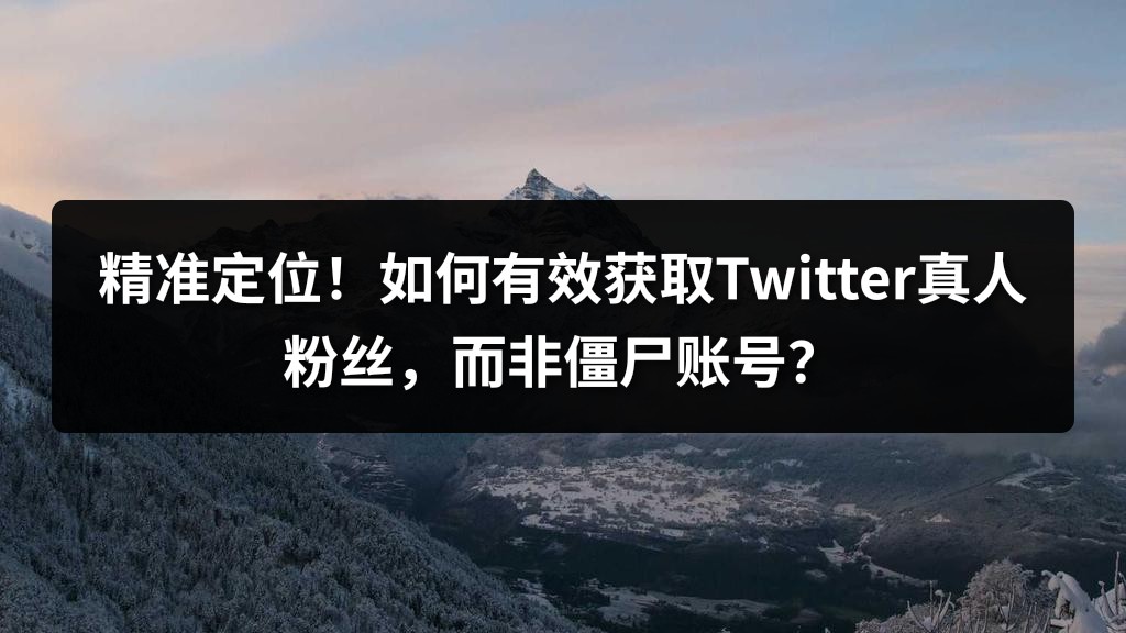 精准定位！如何有效获取Twitter真人粉丝，而非僵尸账号？