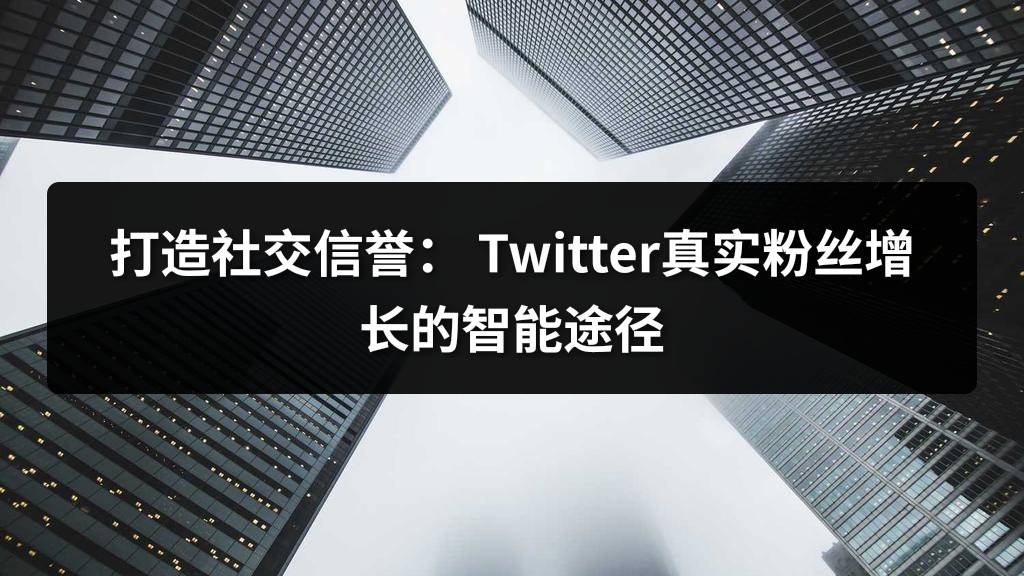 打造社交信誉： Twitter真实粉丝增长的智能途径