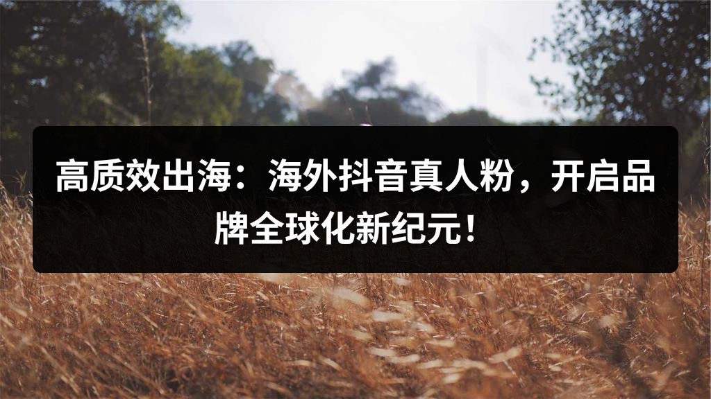 高质效出海：海外抖音真人粉，开启品牌全球化新纪元！