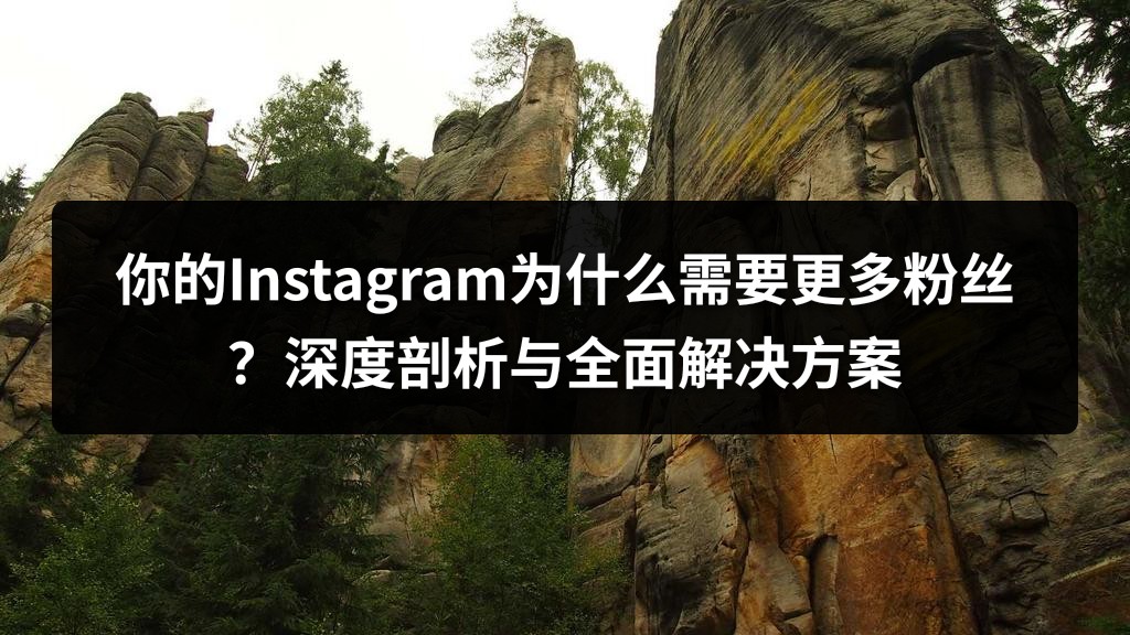 你的Instagram为什么需要更多粉丝？深度剖析与全面解决方案