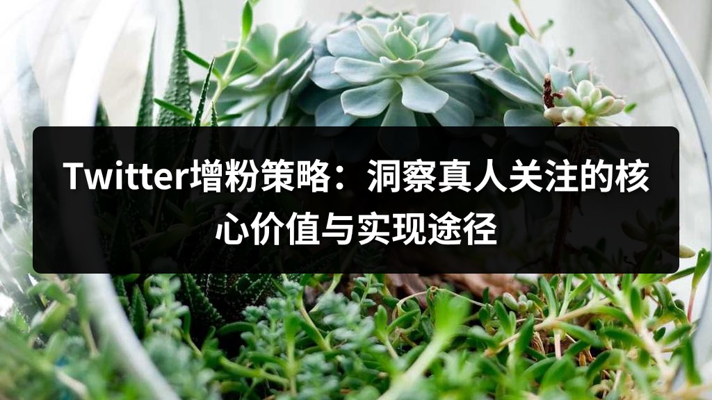 Twitter增粉策略：洞察真人关注的核心价值与实现途径