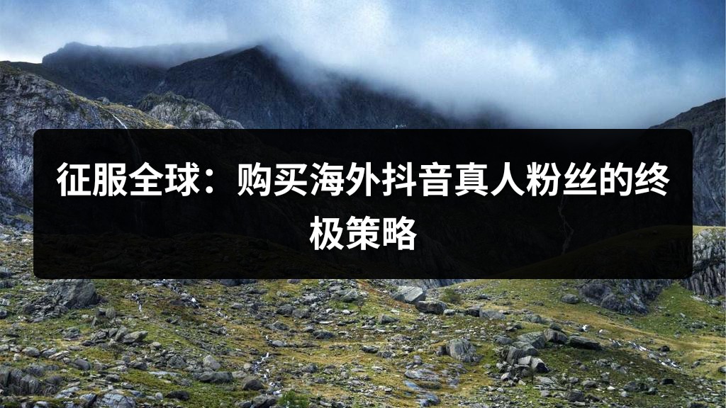 征服全球：购买海外抖音真人粉丝的终极策略