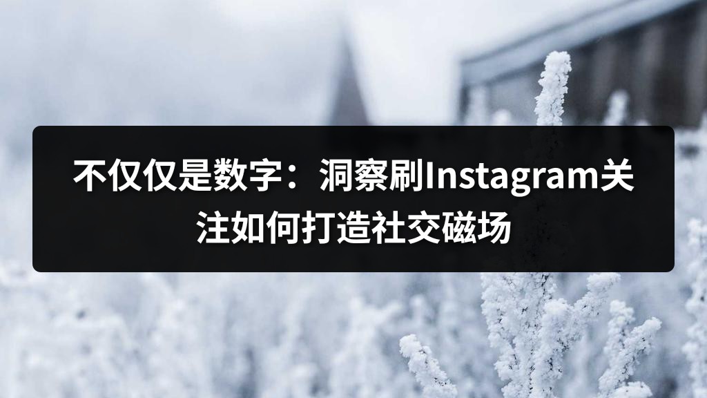 不仅仅是数字：洞察刷Instagram关注如何打造社交磁场