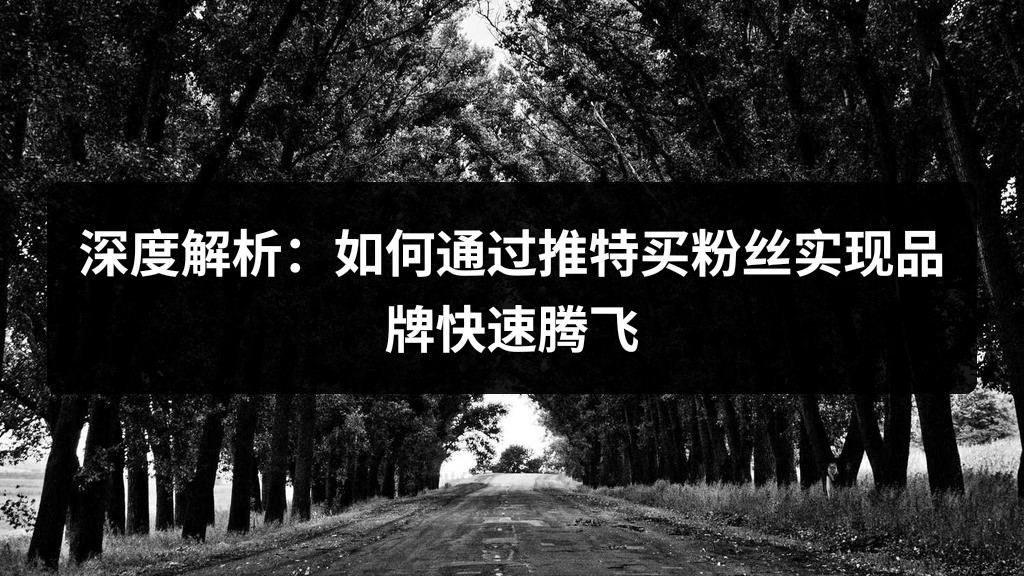 深度解析：如何通过推特买粉丝实现品牌快速腾飞