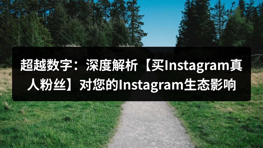 超越数字：深度解析【买Instagram真人粉丝】对您的Instagram生态影响