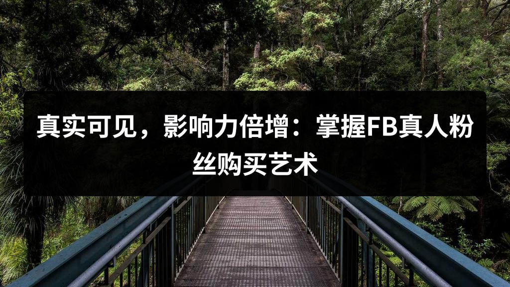 真实可见，影响力倍增：掌握FB真人粉丝购买艺术