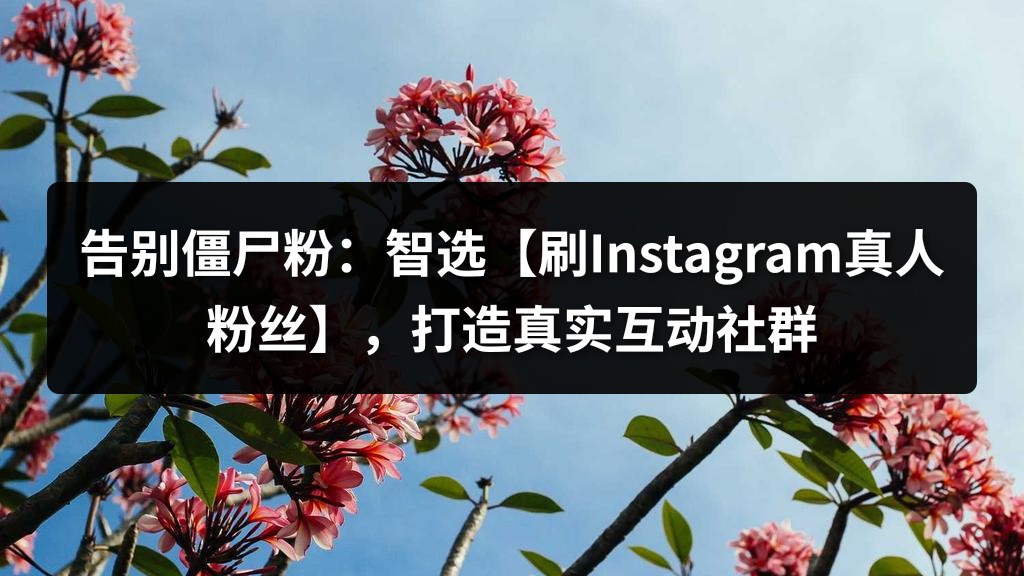 告别僵尸粉：智选【刷Instagram真人粉丝】，打造真实互动社群