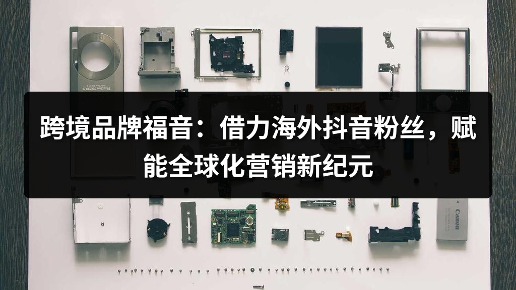 跨境品牌福音：借力海外抖音粉丝，赋能全球化营销新纪元
