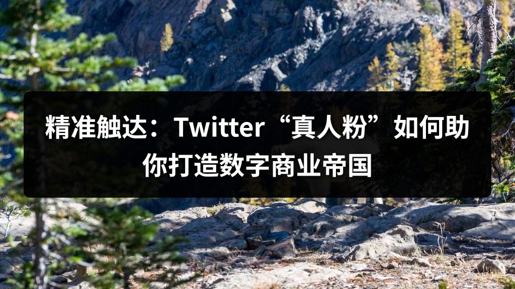 精准触达：Twitter“真人粉”如何助你打造数字商业帝国