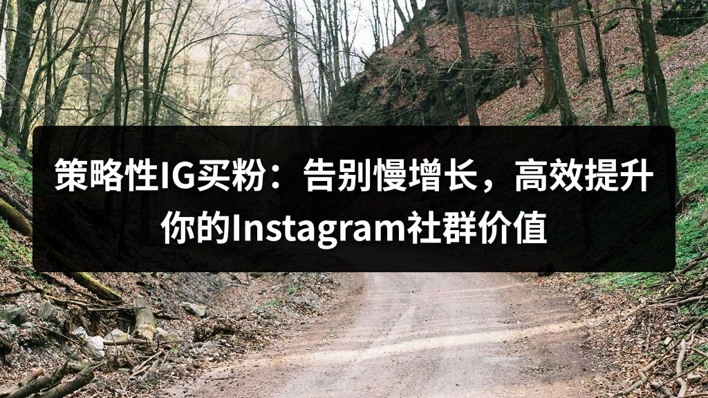 策略性IG买粉：告别慢增长，高效提升你的Instagram社群价值