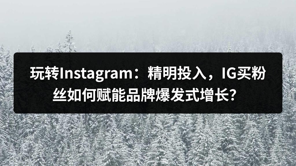 玩转Instagram：精明投入，IG买粉丝如何赋能品牌爆发式增长？