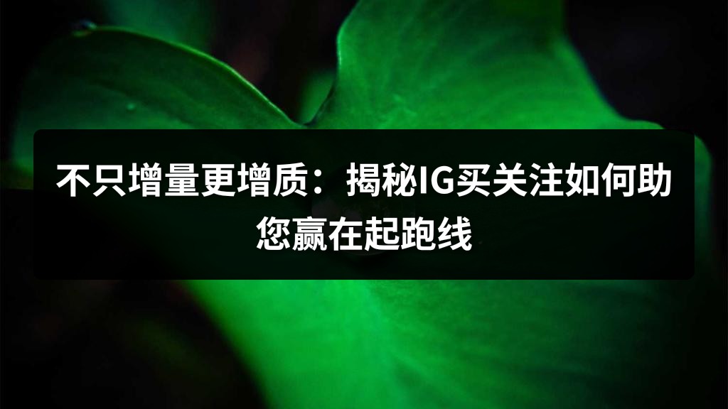 不只增量更增质：揭秘IG买关注如何助您赢在起跑线