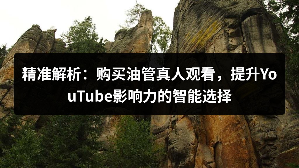 精准解析：购买油管真人观看，提升YouTube影响力的智能选择