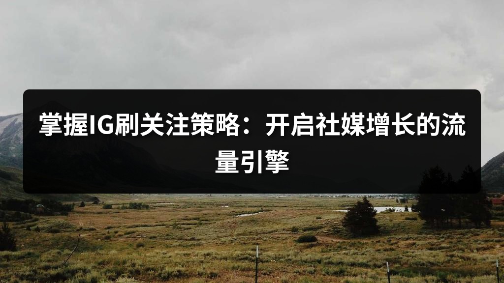 掌握IG刷关注策略：开启社媒增长的流量引擎