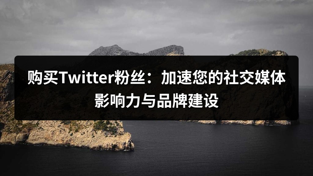 购买Twitter粉丝：加速您的社交媒体影响力与品牌建设