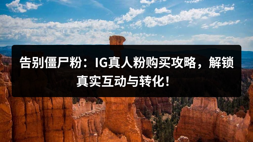 告别僵尸粉：IG真人粉购买攻略，解锁真实互动与转化！