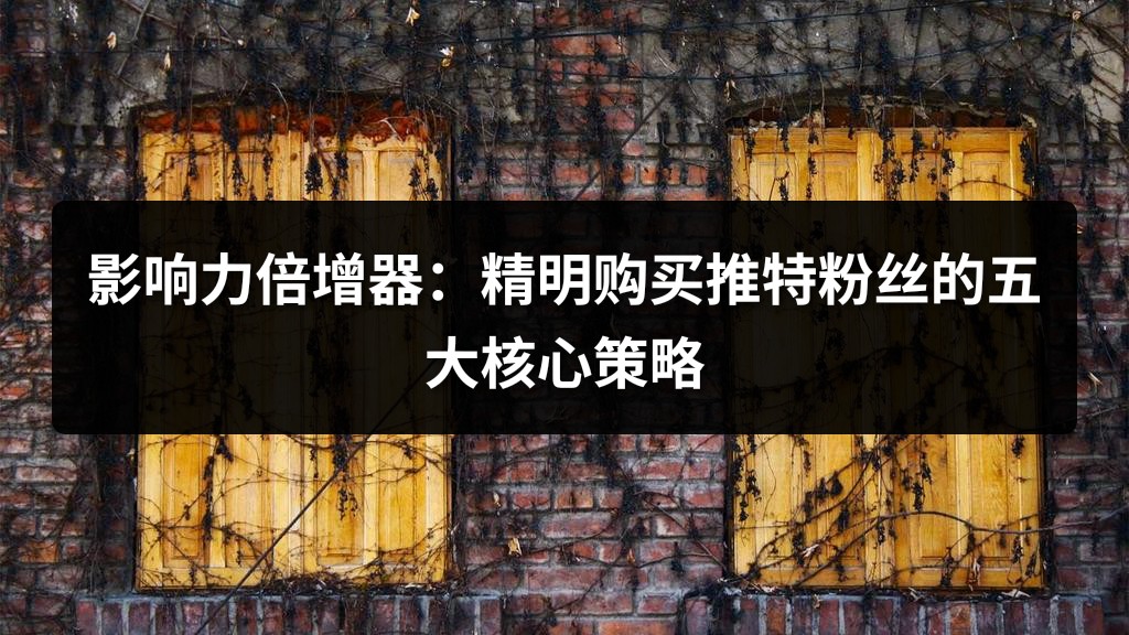 影响力倍增器：精明购买推特粉丝的五大核心策略