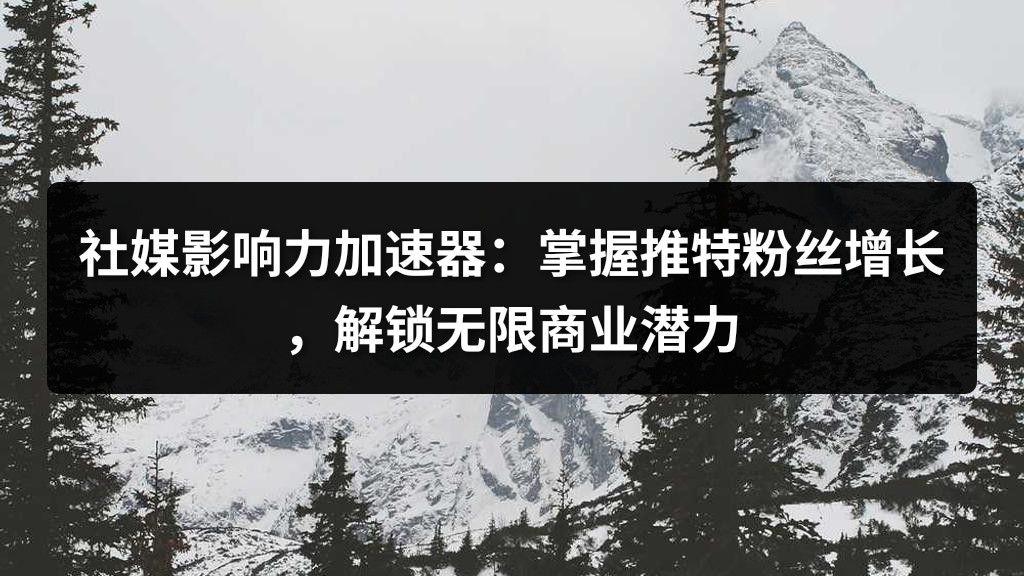 社媒影响力加速器：掌握推特粉丝增长，解锁无限商业潜力