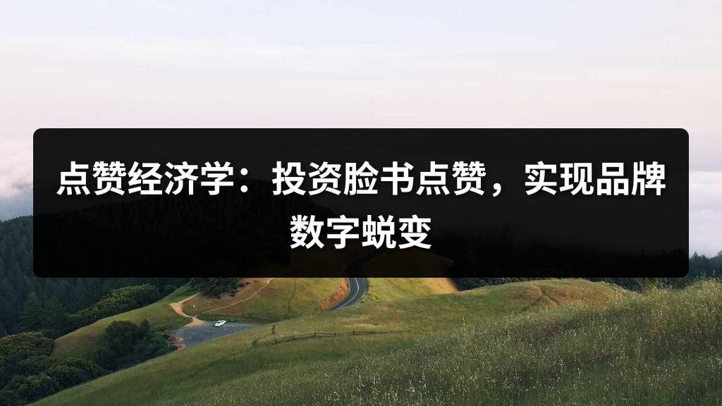 点赞经济学：投资脸书点赞，实现品牌数字蜕变