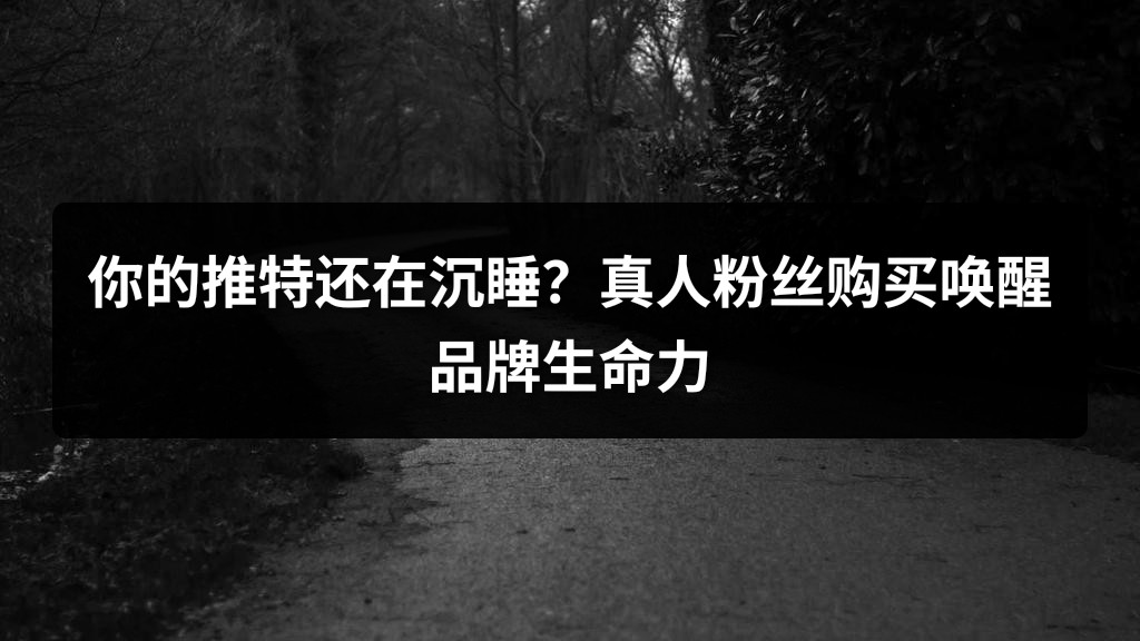 你的推特还在沉睡？真人粉丝购买唤醒品牌生命力