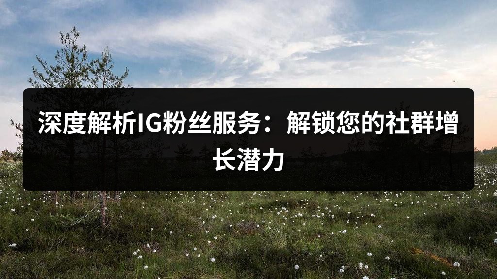 深度解析IG粉丝服务：解锁您的社群增长潜力